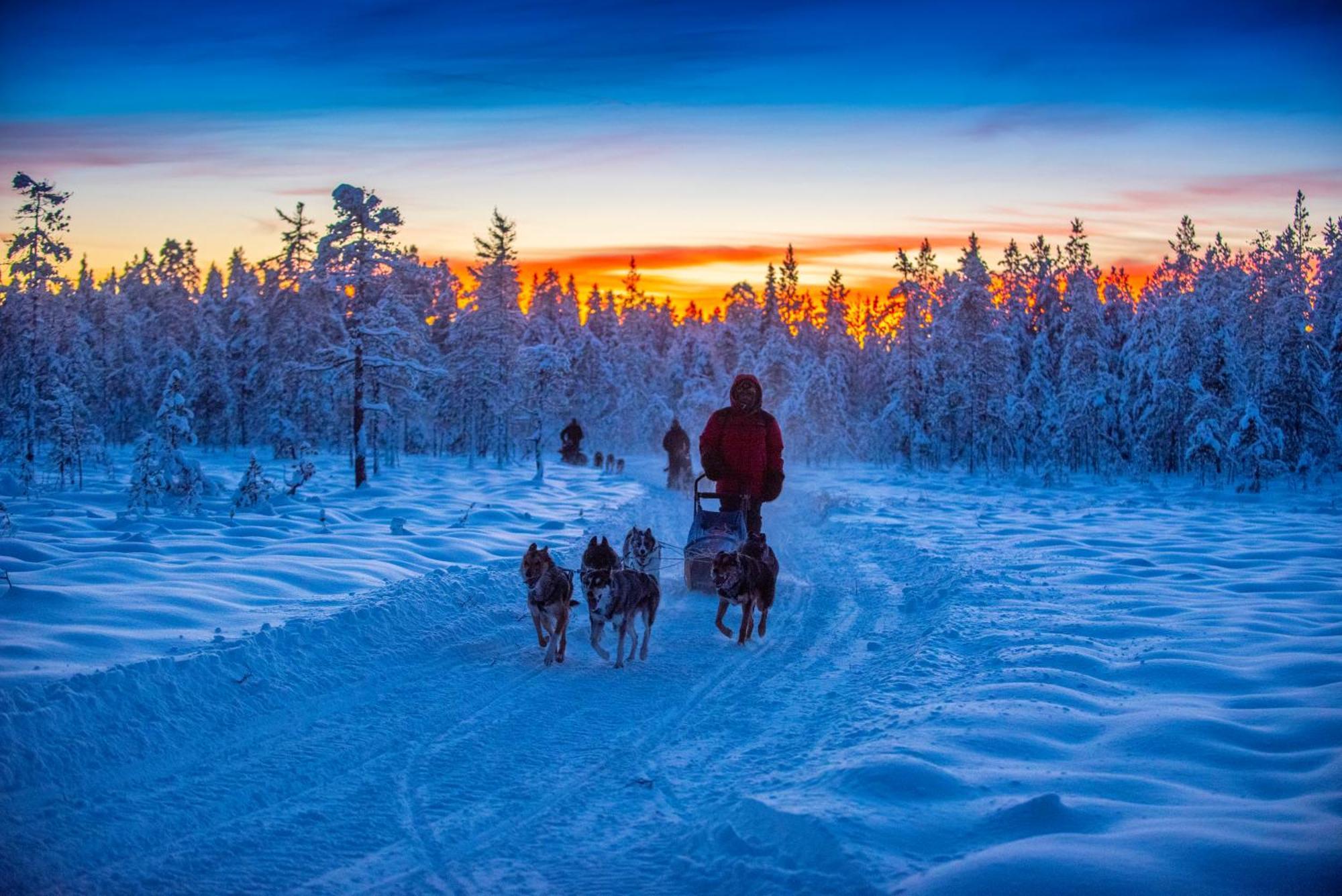 Arctic River Lodge 타렌도 외부 사진