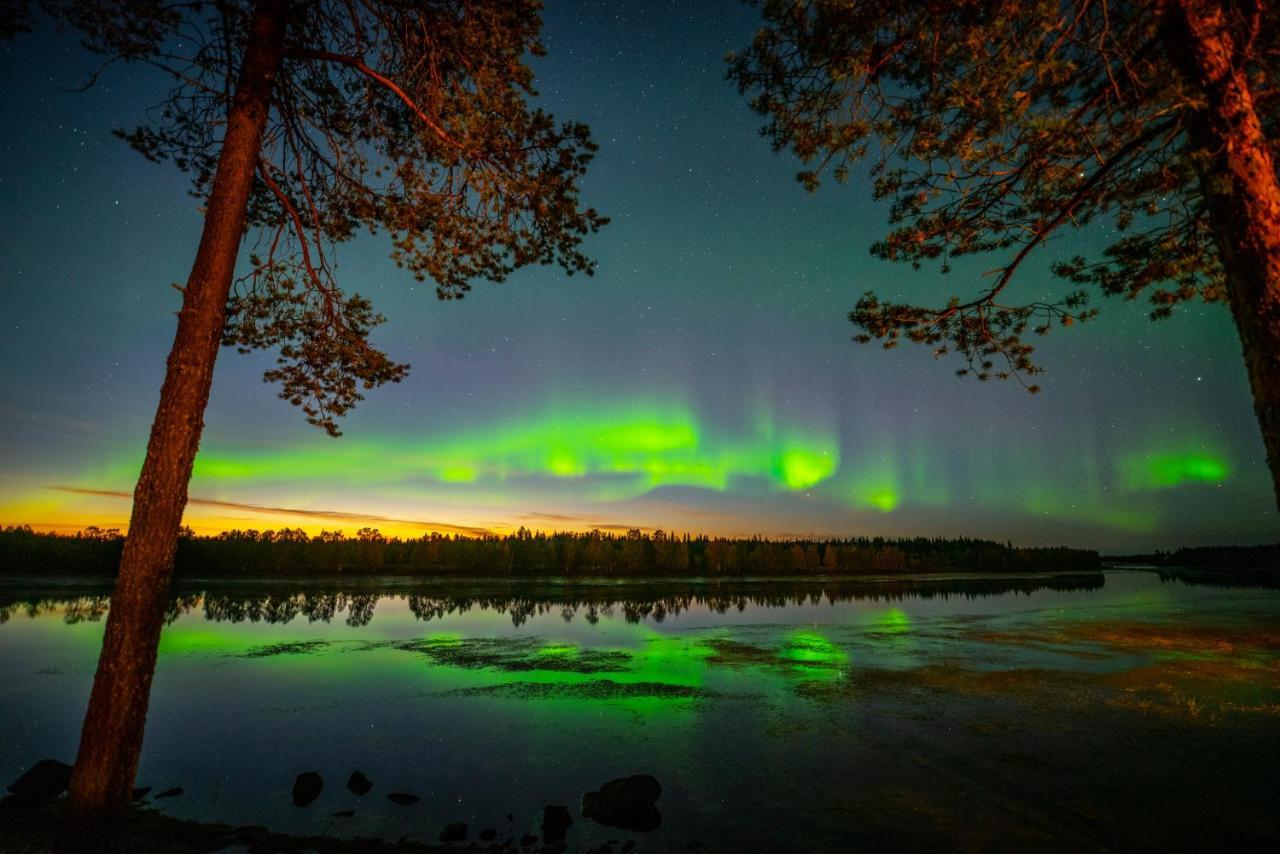 Arctic River Lodge 타렌도 외부 사진